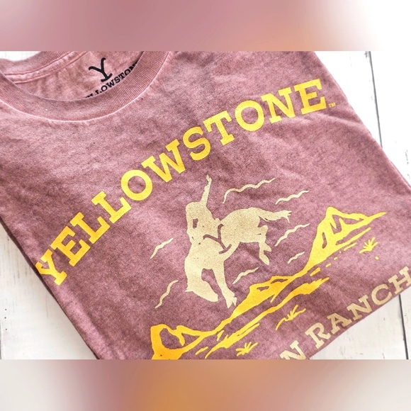 Yellowstone Western Taupe Brown & Golden Yellow Graphic Tee Shirt Top Unisex - Picture 2 of 9